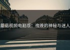 蘑菇视频电脑版：夜晚的神秘与迷人