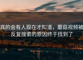 真的会有人现在才知道，蘑菇视频被反复搜索的原因终于找到了