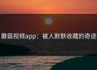 蘑菇视频app：被人默默收藏的奇迹