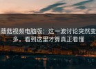 蘑菇视频电脑版：这一波讨论突然变多，看到这里才算真正看懂