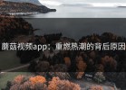 蘑菇视频app：重燃热潮的背后原因