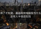 用了才知道，蘑菇视频电脑版为什么总有人半夜还在找