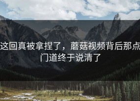 这回真被拿捏了，蘑菇视频背后那点门道终于说清了