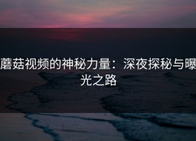 蘑菇视频的神秘力量：深夜探秘与曝光之路