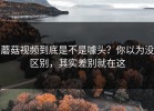 蘑菇视频到底是不是噱头？你以为没区别，其实差别就在这