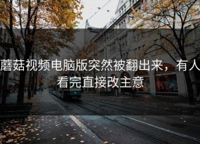 蘑菇视频电脑版突然被翻出来，有人看完直接改主意