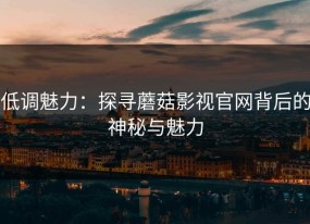 低调魅力：探寻蘑菇影视官网背后的神秘与魅力