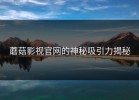 蘑菇影视官网的神秘吸引力揭秘