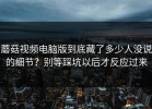 蘑菇视频电脑版到底藏了多少人没说的细节？别等踩坑以后才反应过来
