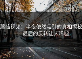 蘑菇视频：半夜依然吸引的真相揭秘——最后的反转让人唏嘘