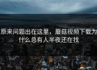 原来问题出在这里，蘑菇视频下载为什么总有人半夜还在找