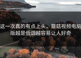 这一次真的有点上头，蘑菇视频电脑版越是低调越容易让人好奇