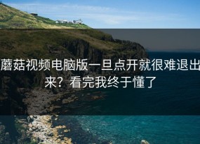 蘑菇视频电脑版一旦点开就很难退出来？看完我终于懂了