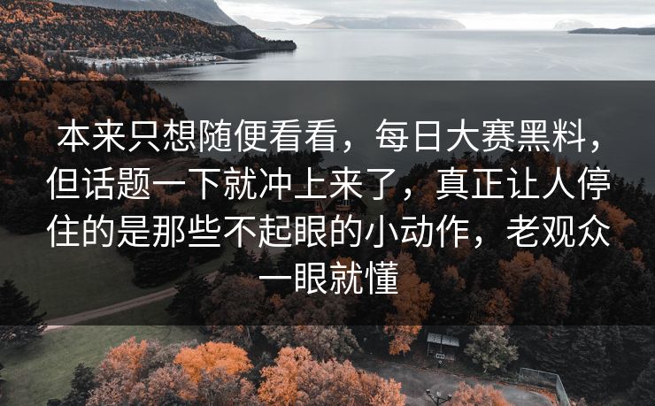 本来只想随便看看，每日大赛黑料，但话题一下就冲上来了，真正让人停住的是那些不起眼的小动作，老观众一眼就懂