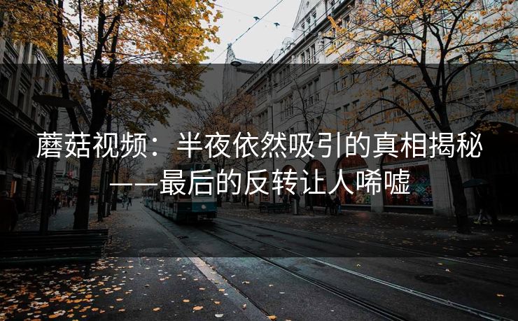 蘑菇视频：半夜依然吸引的真相揭秘——最后的反转让人唏嘘