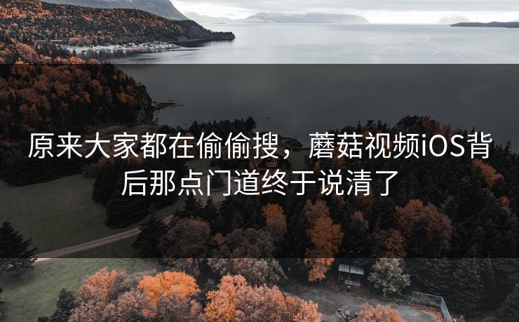 原来大家都在偷偷搜，蘑菇视频iOS背后那点门道终于说清了