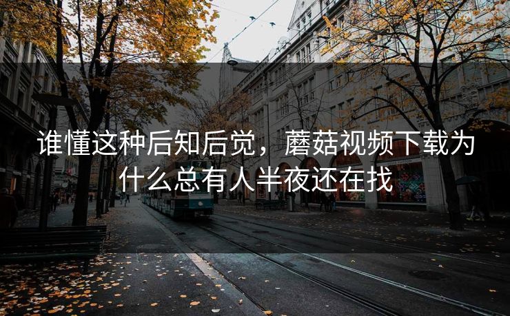 谁懂这种后知后觉，蘑菇视频下载为什么总有人半夜还在找