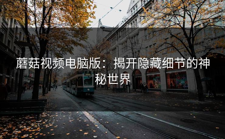 蘑菇视频电脑版：揭开隐藏细节的神秘世界