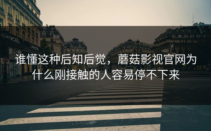 谁懂这种后知后觉，蘑菇影视官网为什么刚接触的人容易停不下来