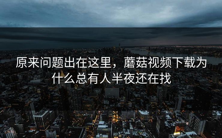 原来问题出在这里，蘑菇视频下载为什么总有人半夜还在找