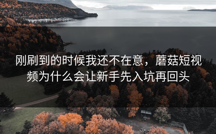 刚刷到的时候我还不在意，蘑菇短视频为什么会让新手先入坑再回头