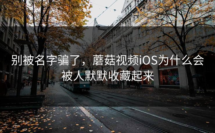 别被名字骗了，蘑菇视频iOS为什么会被人默默收藏起来