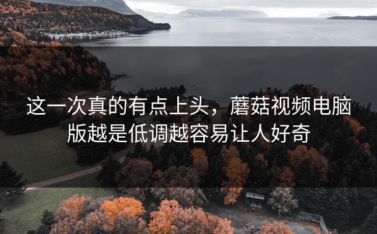 这一次真的有点上头，蘑菇视频电脑版越是低调越容易让人好奇