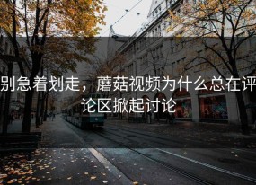别急着划走，蘑菇视频为什么总在评论区掀起讨论
