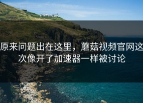 原来问题出在这里，蘑菇视频官网这次像开了加速器一样被讨论