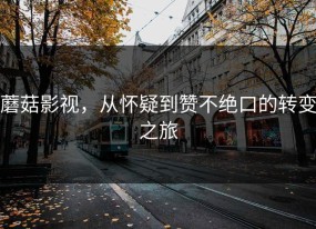 蘑菇影视，从怀疑到赞不绝口的转变之旅
