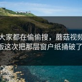 原来大家都在偷偷搜，蘑菇视频电脑版这次把那层窗户纸捅破了！