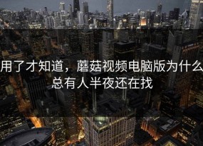 用了才知道，蘑菇视频电脑版为什么总有人半夜还在找