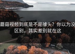 蘑菇视频到底是不是噱头？你以为没区别，其实差别就在这