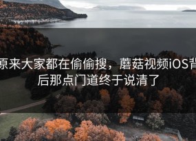 原来大家都在偷偷搜，蘑菇视频iOS背后那点门道终于说清了