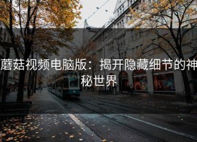蘑菇视频电脑版：揭开隐藏细节的神秘世界