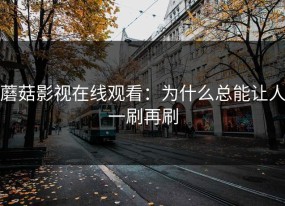 蘑菇影视在线观看：为什么总能让人一刷再刷