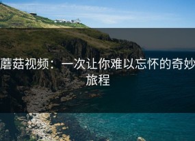 蘑菇视频：一次让你难以忘怀的奇妙旅程