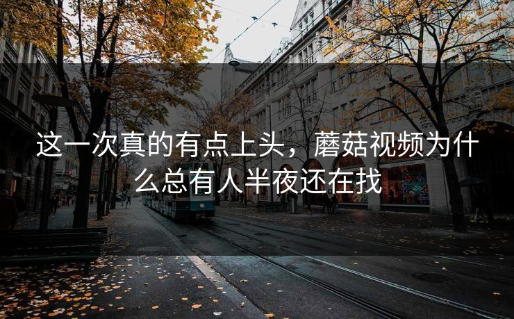 这一次真的有点上头，蘑菇视频为什么总有人半夜还在找