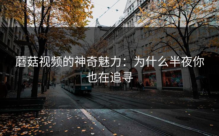 蘑菇视频的神奇魅力：为什么半夜你也在追寻
