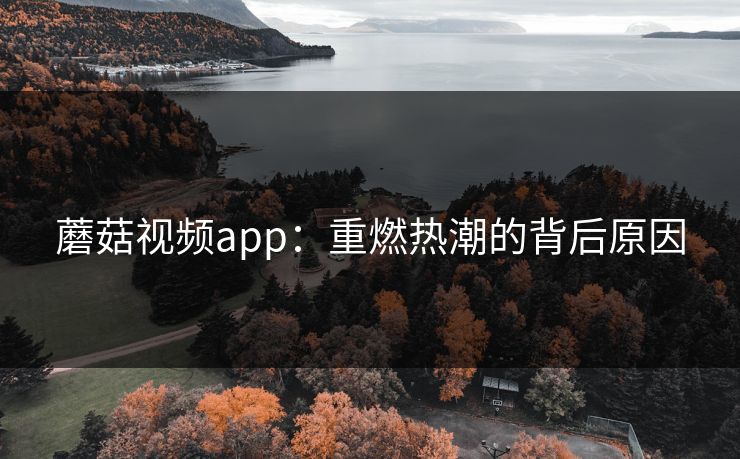 蘑菇视频app：重燃热潮的背后原因