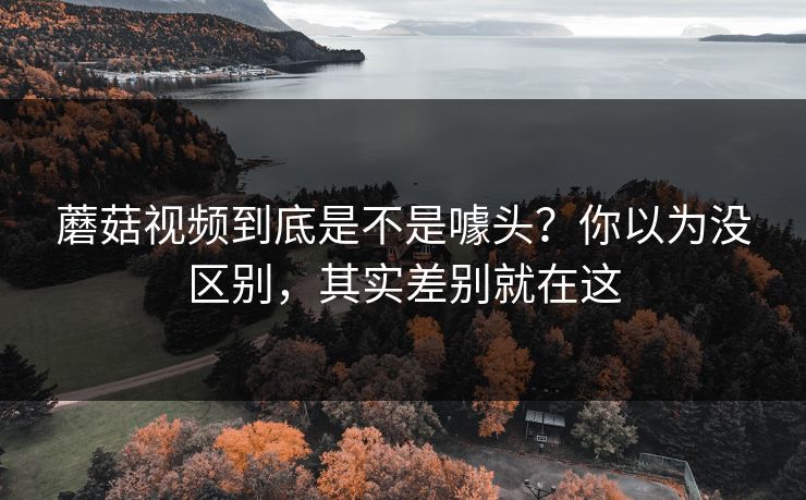 蘑菇视频到底是不是噱头？你以为没区别，其实差别就在这