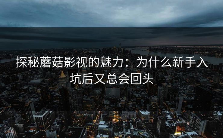探秘蘑菇影视的魅力：为什么新手入坑后又总会回头