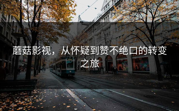蘑菇影视，从怀疑到赞不绝口的转变之旅