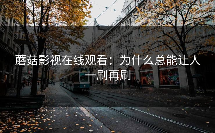 蘑菇影视在线观看：为什么总能让人一刷再刷