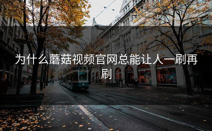 为什么蘑菇视频官网总能让人一刷再刷