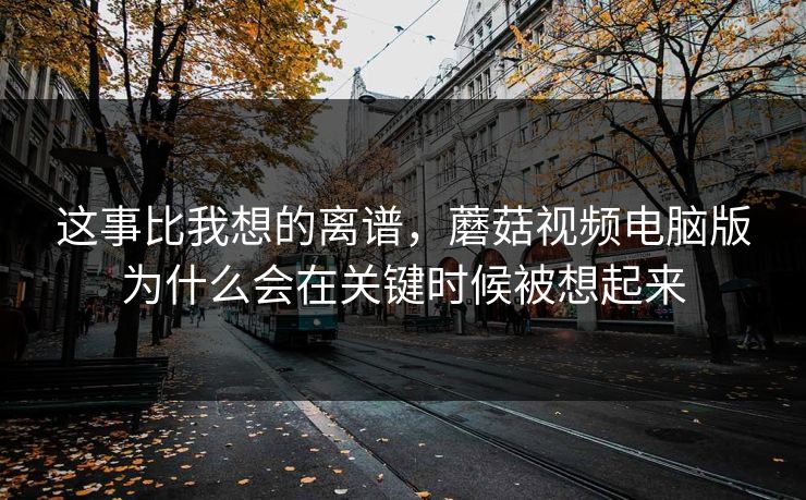 这事比我想的离谱，蘑菇视频电脑版为什么会在关键时候被想起来